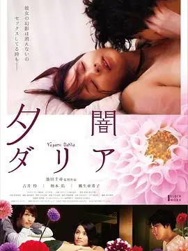 《黄昏大丽花》：一场关于爱与救赎的视觉盛宴，在摇曳的黄昏中寻找真相